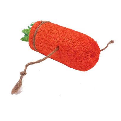 Buy AE Cage Company Nibbles Carrot Loofah Chew Toy Large