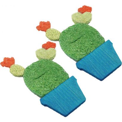 Buy AE Cage Company Nibbles Potted Cactus Loofah Chew Toys