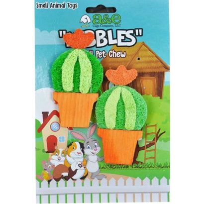 Buy AE Cage Company Nibbles Barrel Cactus Loofah Chew Toy with Wood