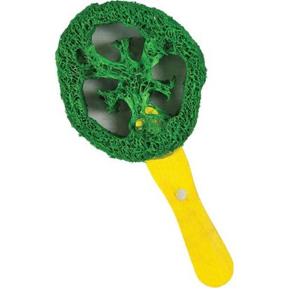 Buy AE Cage Company Nibbles Lollipop Loofah Chew Toy