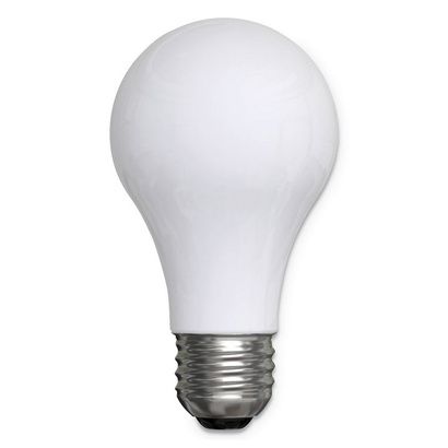 Buy GE Reveal A19 Light Bulb