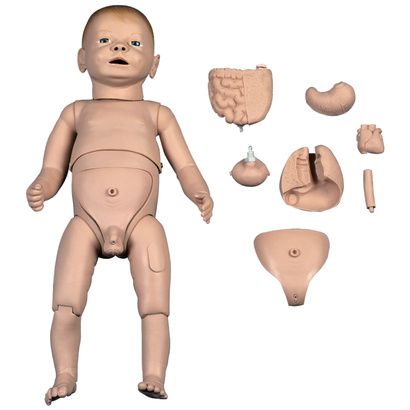 Buy A3BS New Born Nurse Training Baby Model