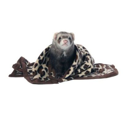 Buy Marshall Designer Fleece Blanket for Small Animals