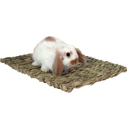 Buy Marshall Peters Woven Grass Mat for Small Animals