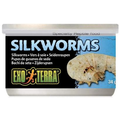 Buy Exo Terra Canned Silkworms Specialty Reptile Food