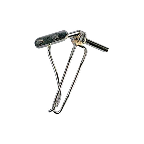 Supinator