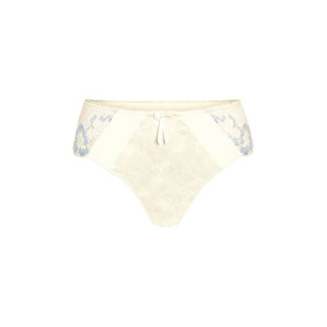 Amoena Arya Brief