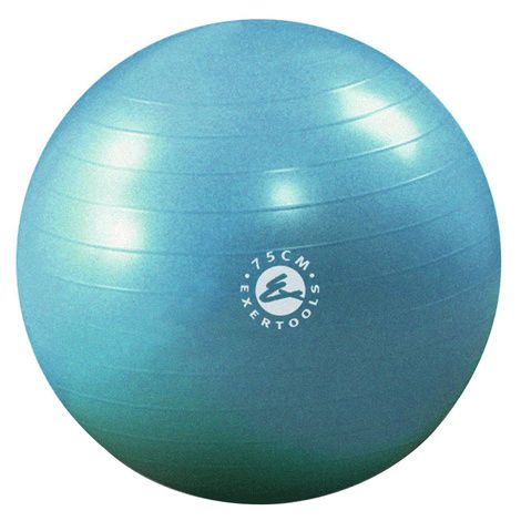 Exertools Burst Resistance Gymball