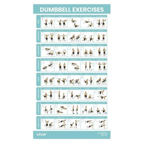 Vive Dumbbell Workout Poster