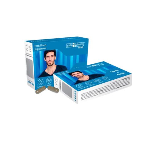 Nitric Oxide Synthase in Male Urological and Andrologic Functions