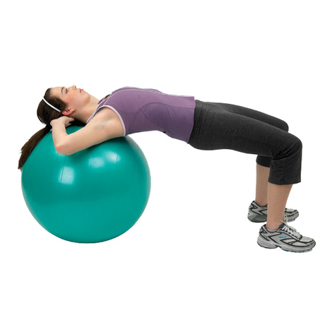 North Coast Medical Exercise Ball