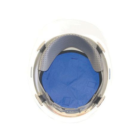 TechNiche Coolpax Phase Change Cooling Crown Cooler