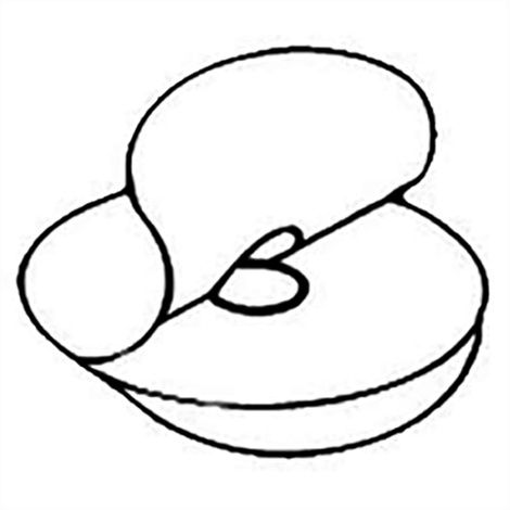 Hpfy StoresNu-Hope Dualstick Adhesive Pad