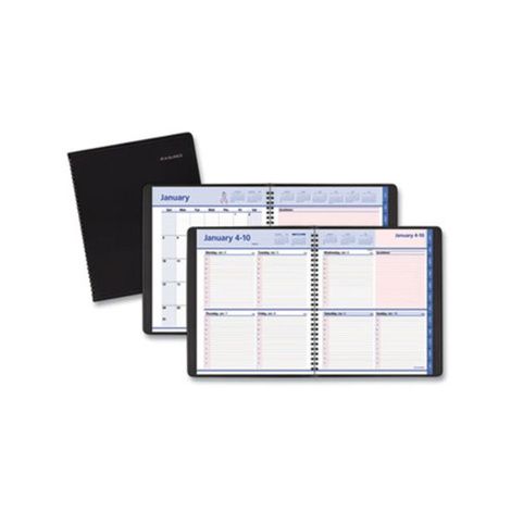 AT-A-GLANCE QuickNotes Special Edition Weekly/Monthly Appointment Book