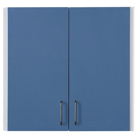 Clinton Single Wall Cabinet with Two Doors