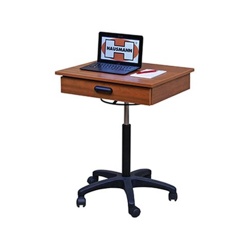 Hausmann Mobile Computer Workstation