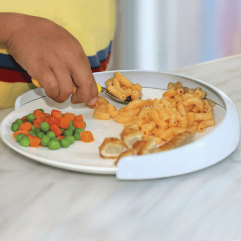 Kinsman My Plate-Mate Food Guard