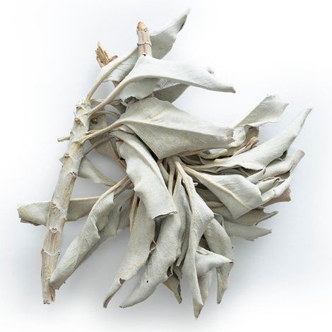 Frontier Whole White Sage Incense