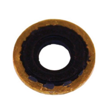 Buy Roscoe Medical Yoke Regulator Washer