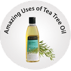Amazing Uses Of Tea Tree Oil