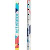 Activator Urban Walking Poles Button Lock System