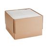 McKesson Procedure Towel Tissue
