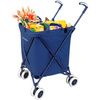 Versacart Folding Utility Cart