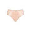 Amoena Arya Brief