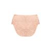 Amoena Arya Brief