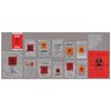 Action Novaplus Specimen Transport Bag
