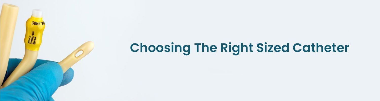 Hpfy store Article Image