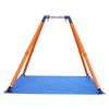 Haleys Joy On The Go I Swing System