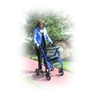 Drive Transport Chair and Rollator