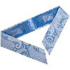 Blue Scarf