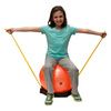 Dynamic Stabilizer Base