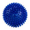 Massage Ball (Blue)