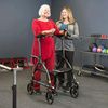 Upright Posture Walker
