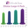  Intimate Rose Individual Dilator