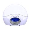 Lumie Bodyclock Active 250