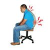 Back Without DR-HO Back Belt