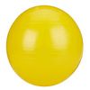 Rolyan Energizing Exercise Balls