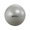 TheraBand Pro Series SCP Exercise Balls - Gray